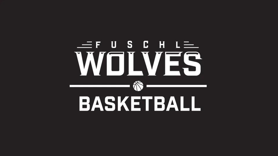 Video Highlights 2017